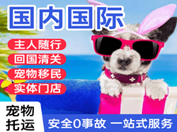 济宁空运国际宠物托运 【国